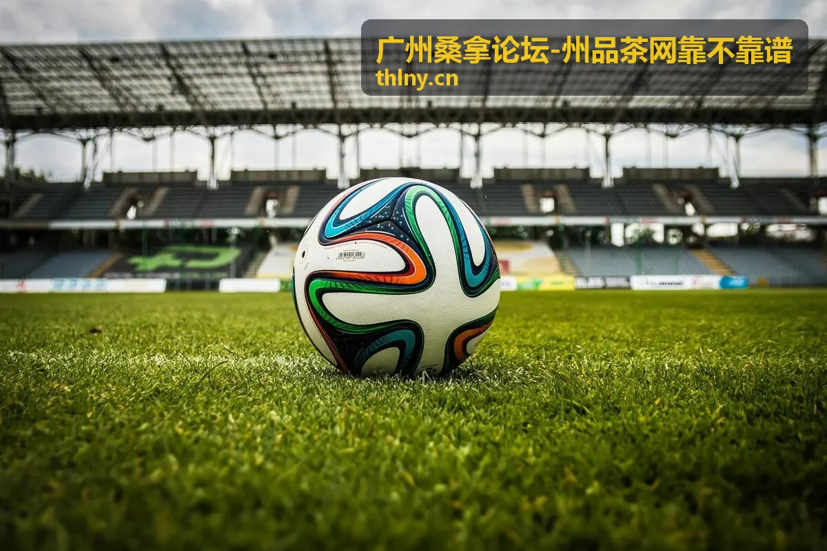 州品茶网晚间休闲品茶场所实景